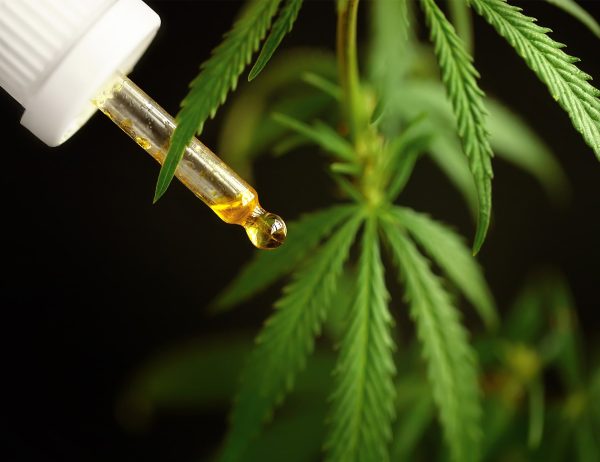 Healing With Oil