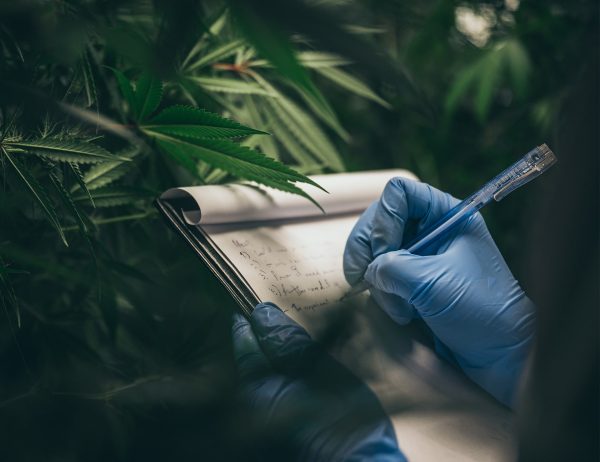 Power From Plants